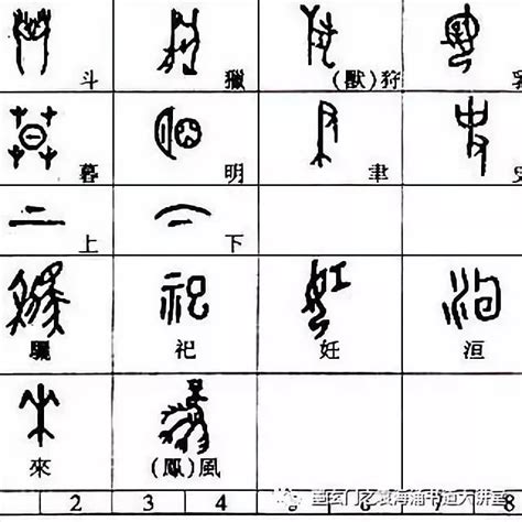 竹 造字法則|六書說:古人把漢字的造字方法歸納為六種，總稱“六。